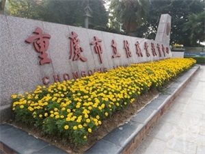 重(zhong)慶市(shi)立信(xin)職業教育中(zhong)心